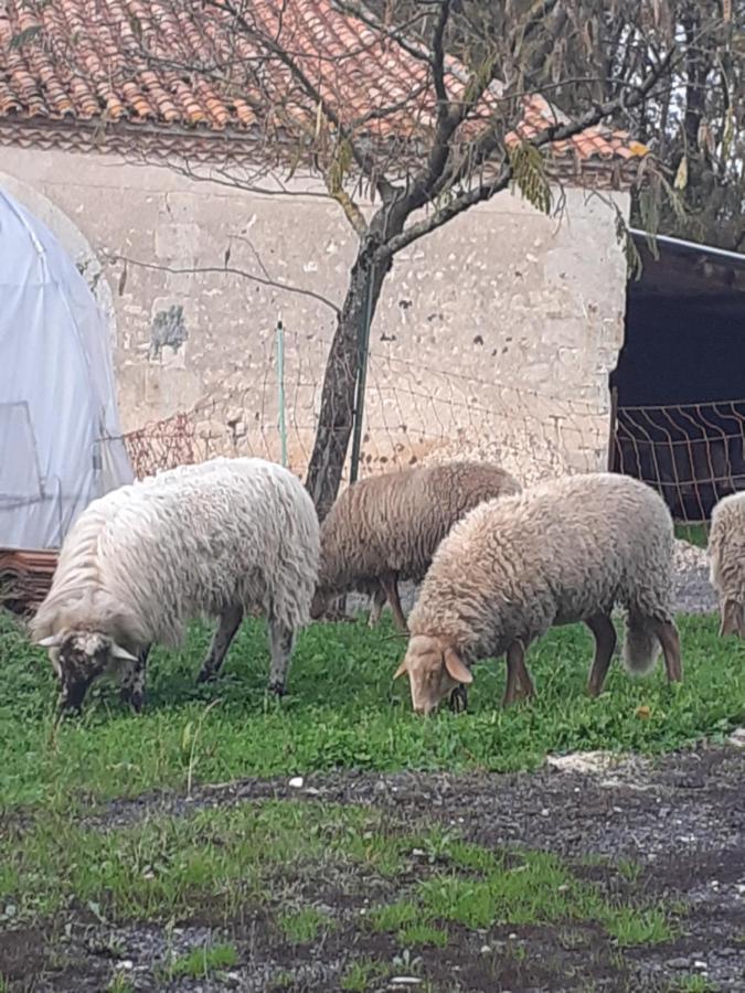 Maison De Campagne A La Ferme Pillac Exteriör bild